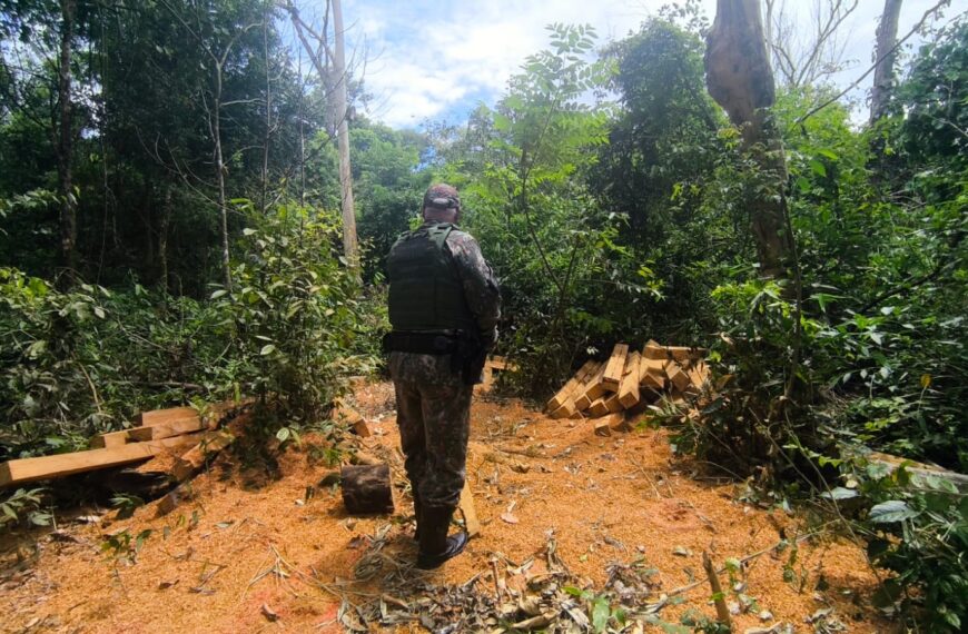 PMA apreende madeira em flagrante de desmatamento em reserva legal