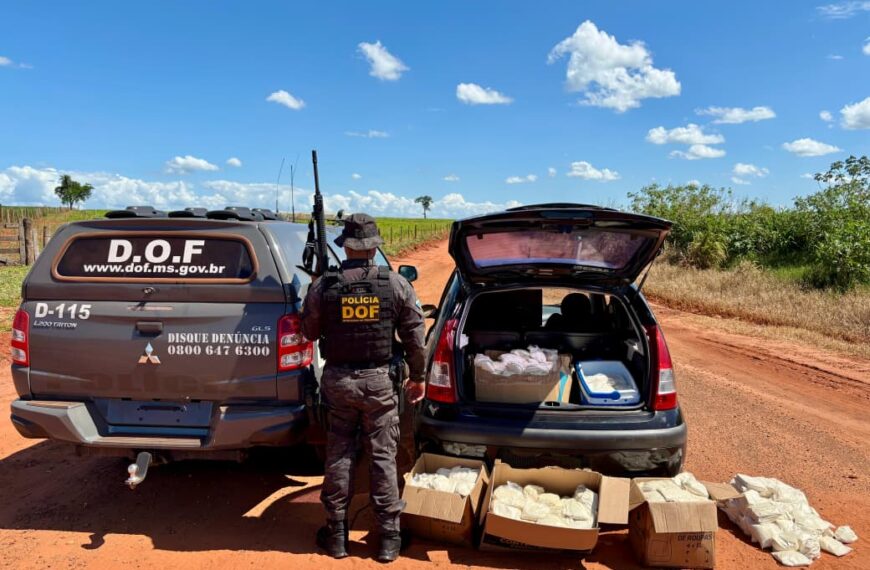 Homem é preso pelo DOF com 150 quilos de agrotóxicos em Itaquiraí