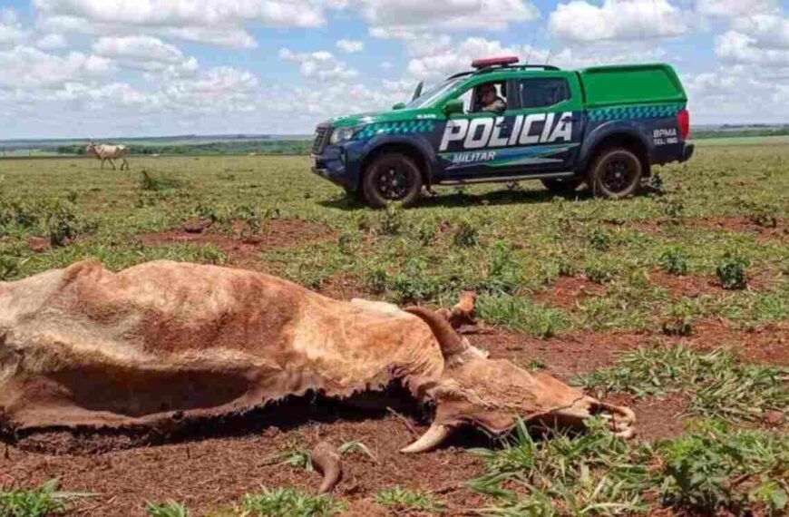 Novas regras do Código Florestal entram em vigor e ampliam exigências ambientais no campo e nas cidades