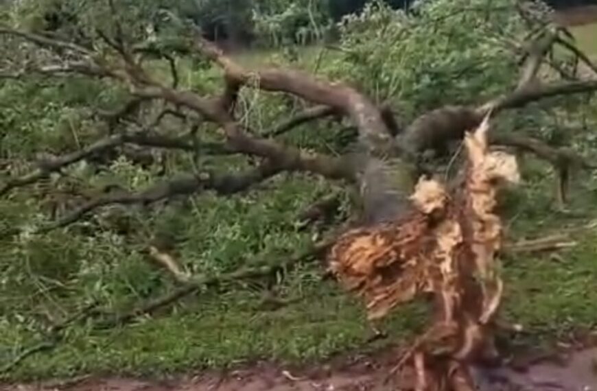 Temporal provoca estragos e assusta moradores da zona rural entre Ponta Porã e Dourados