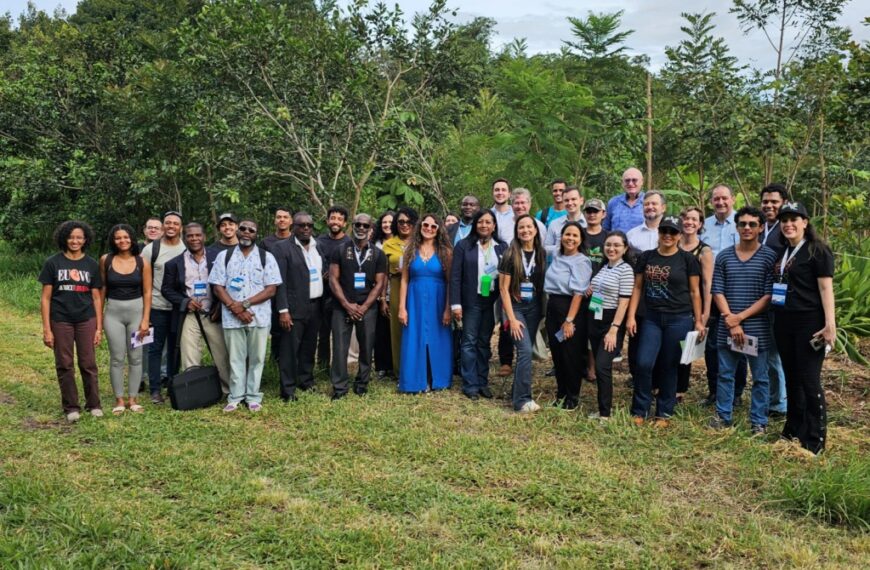 MEC apresenta experiência brasileira em conferência da FAO
