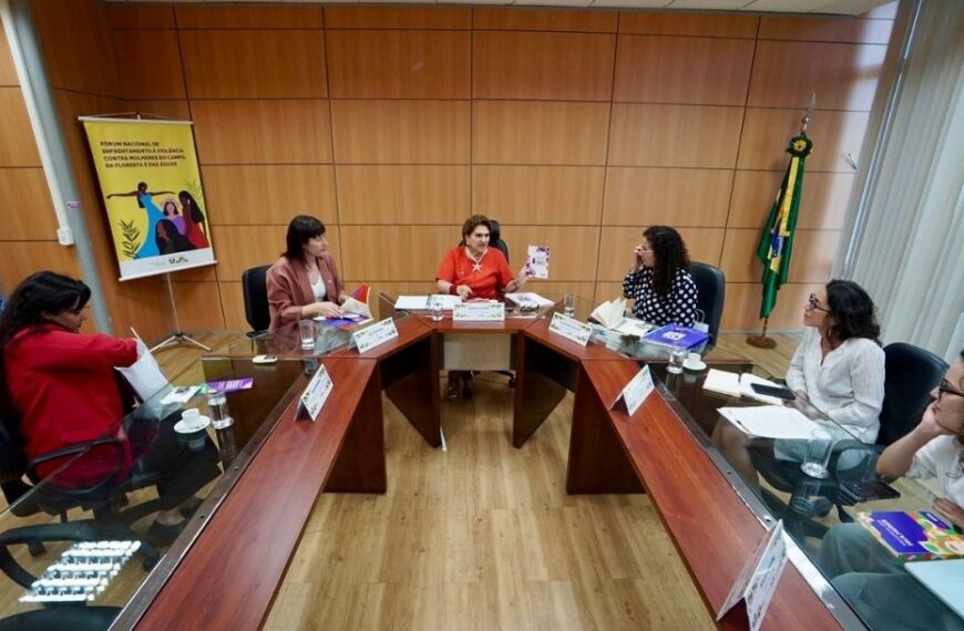 Ministra das Mulheres recebe eurodeputadas para diálogo sobre enfrentamento à violência de gênero