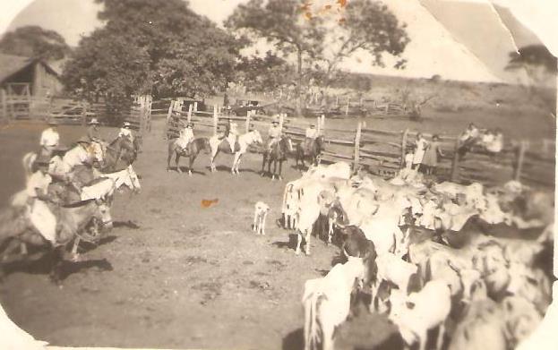 Bandoleiro “Barulho”: O Terror Das Patrulhas Volantes Do Século Xx