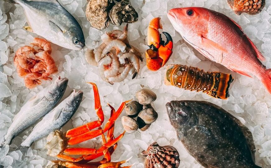 Por que a modernização regulatória do pescado é decisiva para o Brasil